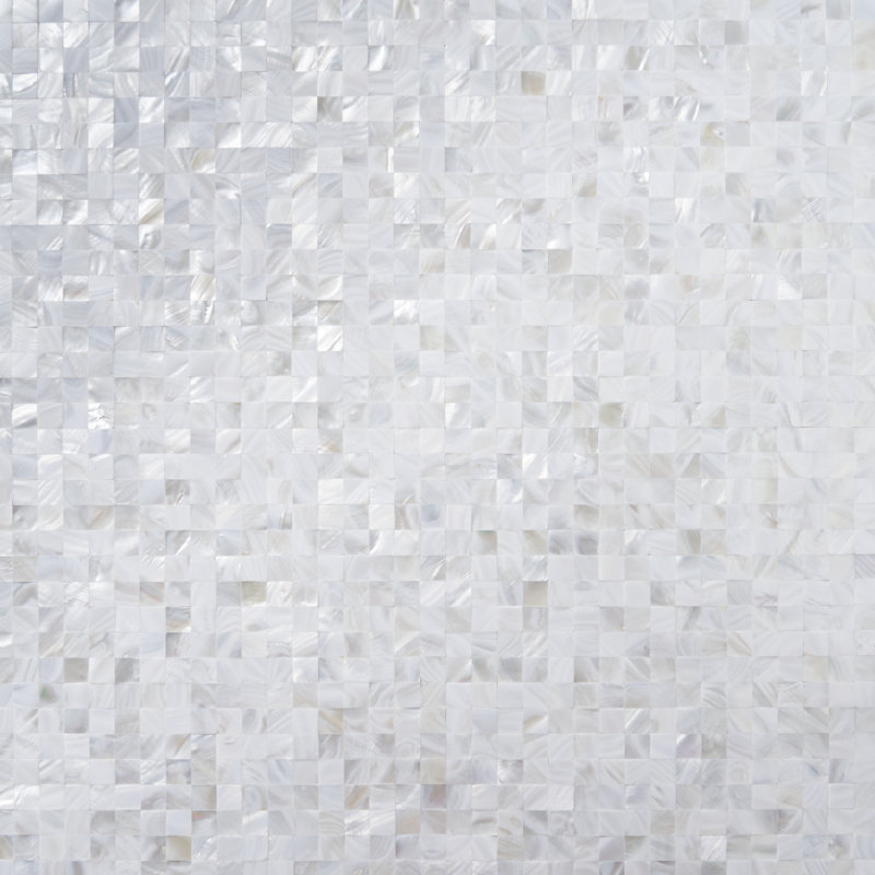 Carreau de mosaïque murale coquillage Lokahi 0,66 "x 0,66"