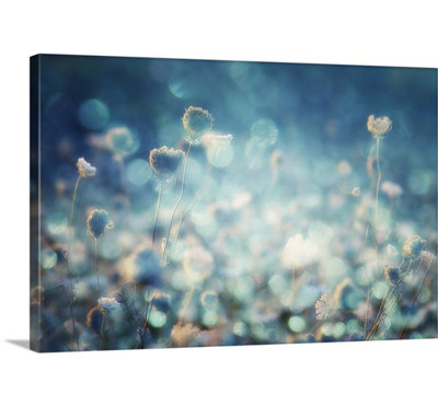 1x Stefan Eisele - Wrapped Canvas Photograph
