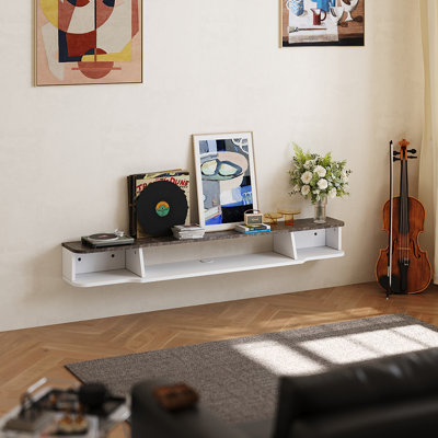 Brynley Unfinished Floating TV Stand for TVs up to 24"