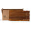 12'' L x 24'' W Wood Interlocking Deck Tile in Brown