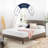 Wayfair Sleep 10" Medium Memory Foam Mattress-1611843112