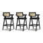 Chic Resin Webbing Back Bar Stool Set, Enhancing Your Bar Ambiance