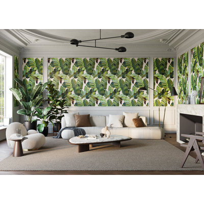 Banana Palm Dream