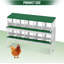 Boîte de nidification pour poulet 10 trous en métal avec support-236585998