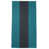 Teal/Ash Black