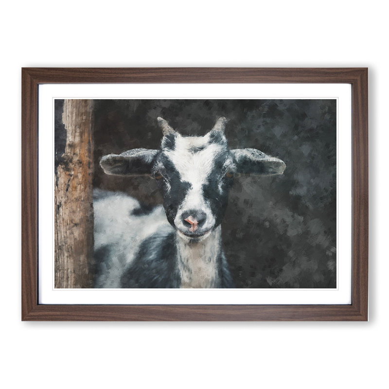 Goat Vol.2 - Picture Frame Painting, Walnut Framed, 48cm H x 65cm W x 2cm D
