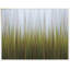 Herbe de mer, herbe de plage, prairie, vert, jaune-780349044-674884324-674884320