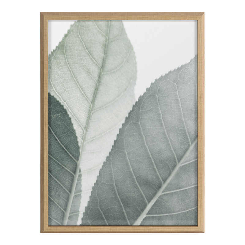  Verre botanique encadré Blake par Green Creative Studio 18 x 24