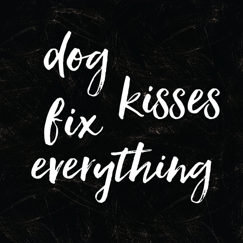 Dog Kisses - Wrapped Canvas Print, 122cm H x 122cm W x 3.8cm D