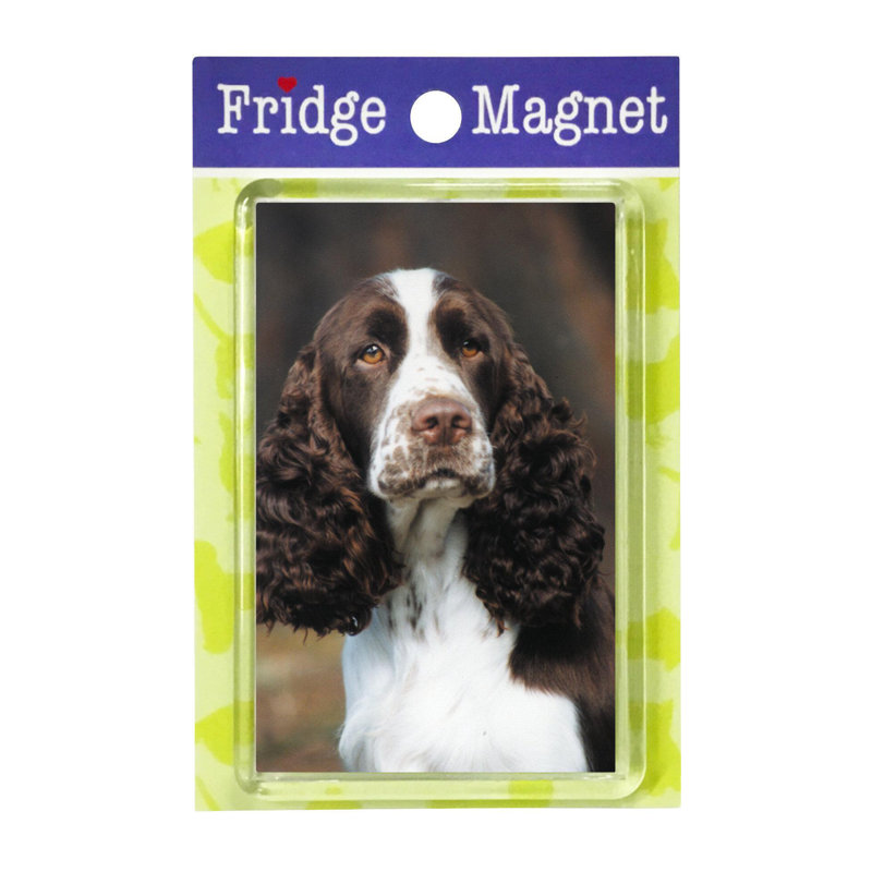 Fridge Magnet