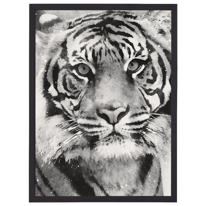 Tigre noir et blanc