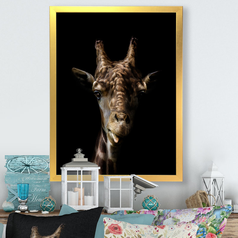 Gros plan sur une girafe sur fond noir, H 32 po x l 16 po, Toile encadrée dorée
