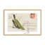 Courrier avec ailes, ensemble de 2 impressions-558502958-558502948-558502951
