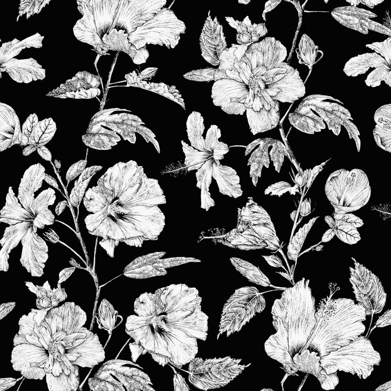 Hibiscus Haiti Flower Wallpaper, Ebony