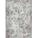 Raashid Oriental Indoor Rug