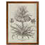 «Fresco Crown Imperial III» par Paul Cezanne - reproduction d'art encadrée-1138327999-1138327940