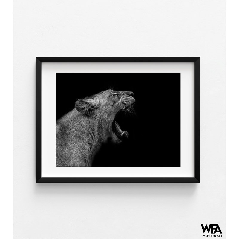 «Lionne In Low Key» par Nauzet Baez, Noir, Reproduction encadrée avec passe-partout blanc, H 24 po x l 32 po