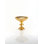 Nest Metal Posh & Luxe Decorative Bowl in Gold