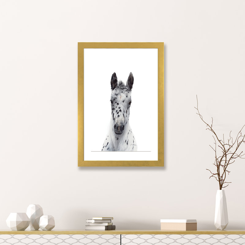 Poulain Appaloosa - reproduction d'art, Blanc, H 32 po x l 24 po x P 1 po, Papier encadré doré