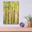 "Spring Aspens" par Mark A Paulda-1086773707