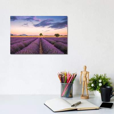 Valensole Sunset, Provence, France by Jim Nilsen - Wrapped Canvas Print