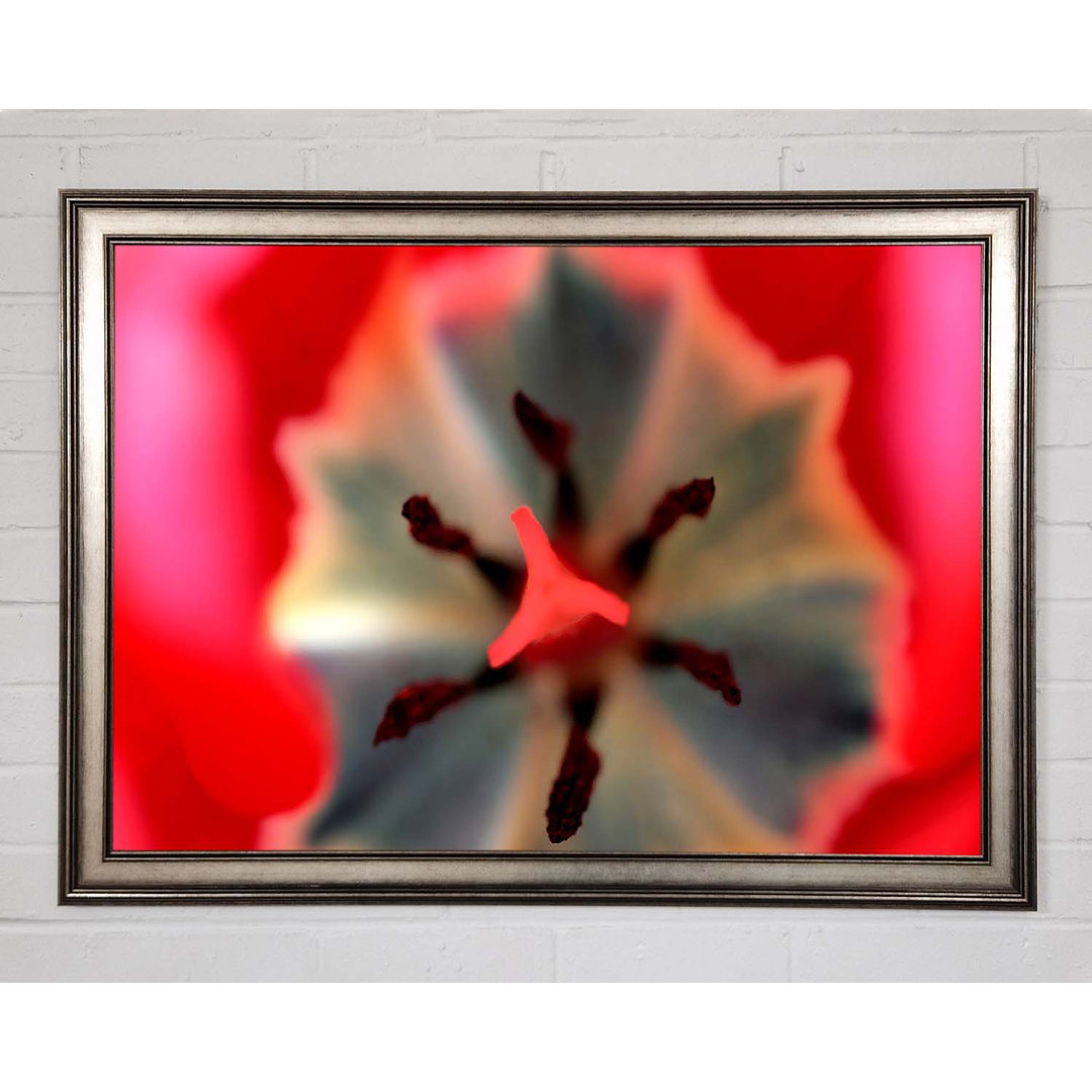 Gerahmter Kunstdruck Inside A Tulip