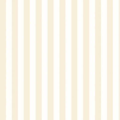 1000cm x 50cm Matte Wallpaper Roll