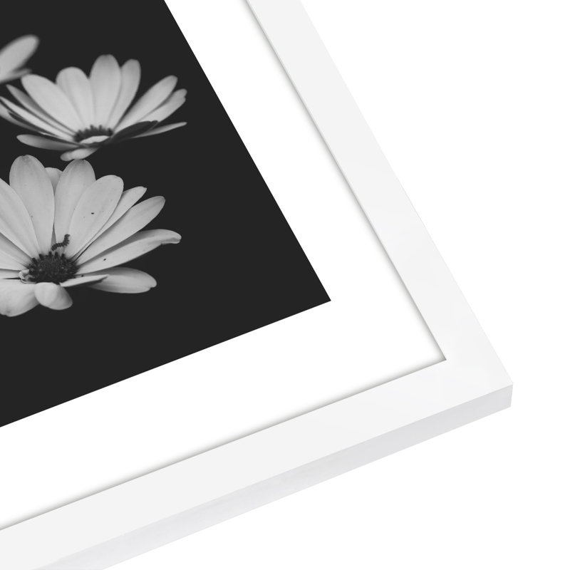 Cadres muraux avec passe-partout Gallery, Blanc, 12 po x 18 po avec passe-partout pour 11 po x 17 p