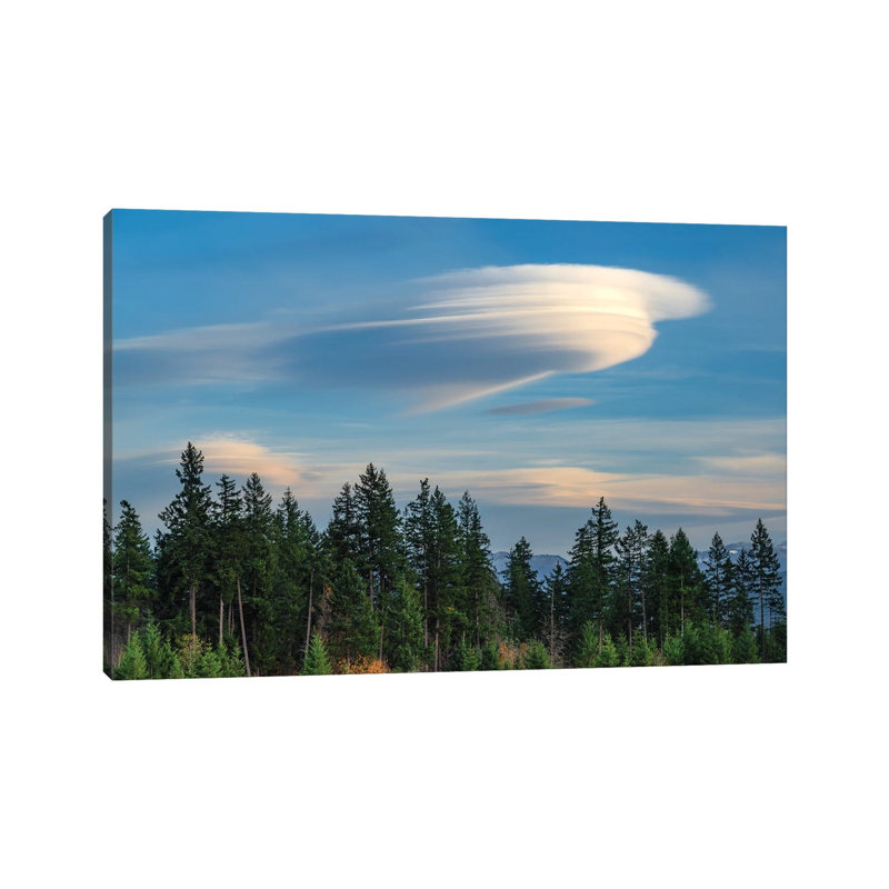 Lenticular 1 Piece Wrapped Canvas Wall Art, 30.48 cm H x 45.72 cm W