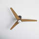 Montego 52'' Ceiling Fan with LED Light Kit