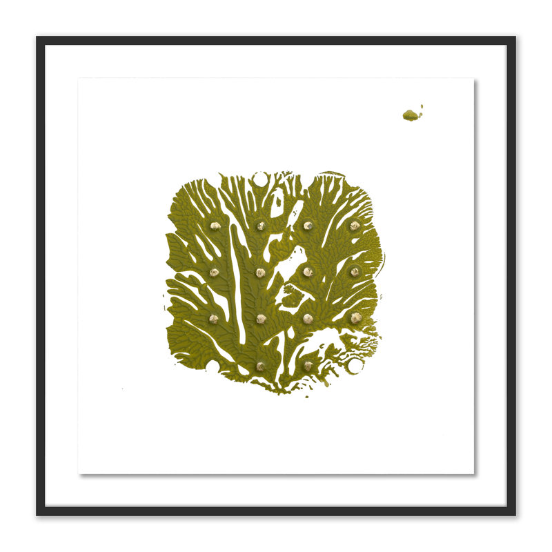Green Golden Imprint 7 Print by Anne Mersmann, 48" H x 48" W x 2.5" D, Black