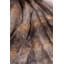 Neff Throw Blanket-148146979