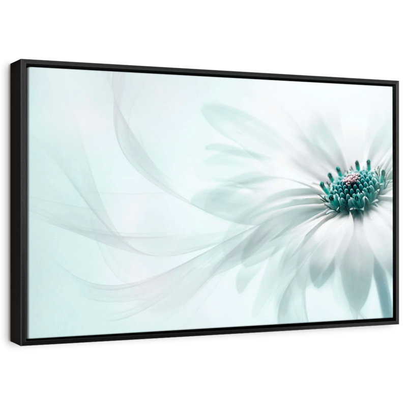 Impression sur toile translucide Cape Daisy, H 13 po x l 19 po