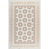 Aubusson Renaissance Hand Knotted Wool Oriental Area Rug