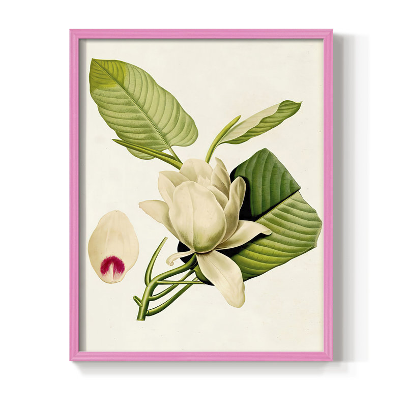«Magnolia Flowers II», reproduction encadrée - bois massif, H 21 po x l 17 po, Rose