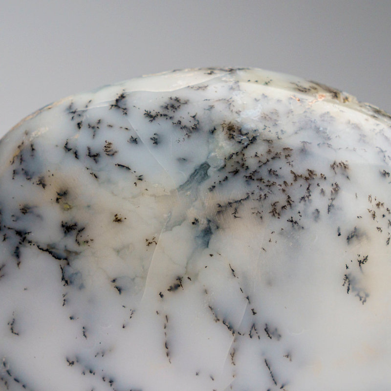 Genuine Polished Dendritic Agate Palm Crystal