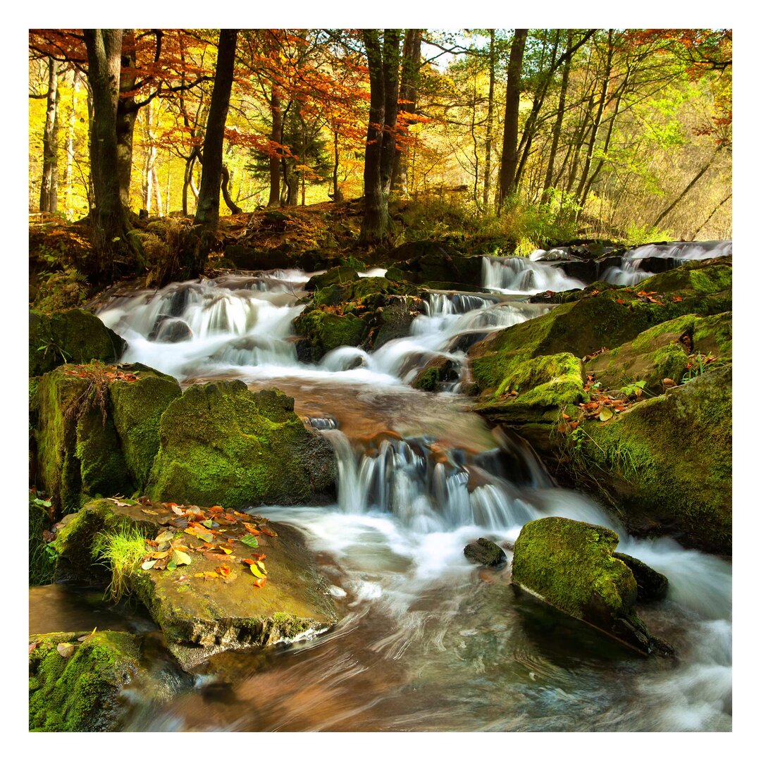 Strukturierte Tapete Waterfall in Autumnal Forest 2,88 m x 288 cm