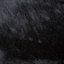 Hair Hide Black