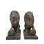 Lion Bronze Garden Statue