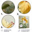 Décoration murale hibiscus jaune printemps - Hibiscus-332621345-332621344