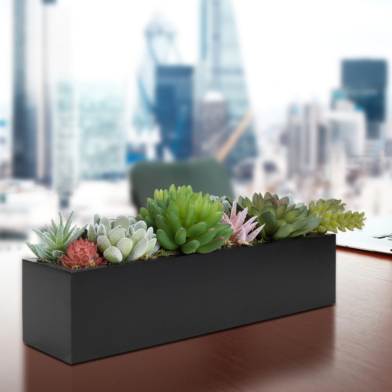 5'' Faux Succulent Plant in Wood Planter
