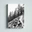 « Rocky Tree Line »-blanc/imprimé sur toile-37365384