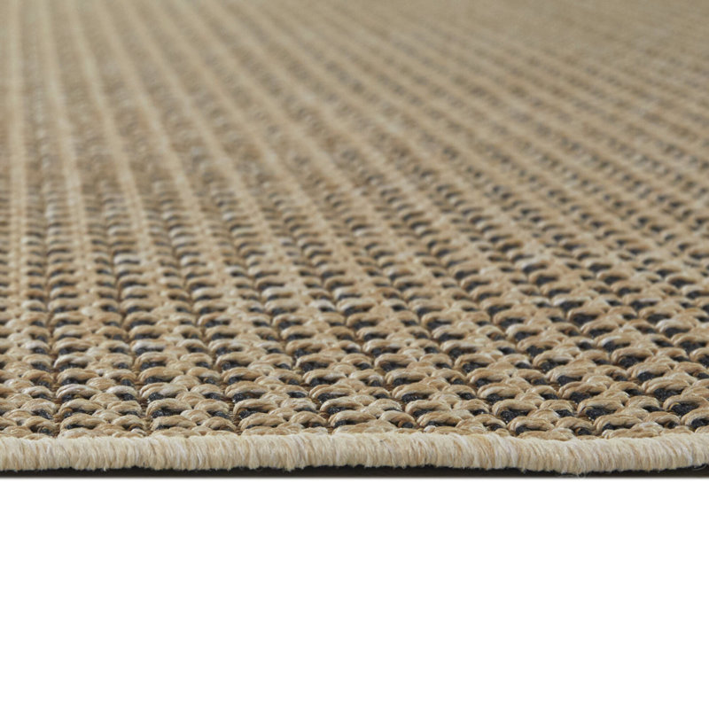 Tapis intérieur / extérieur brun / noir uni Leocadia, Rectangle 5 pi 3 po x 7 pi