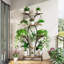 Plant Stand - Set of 8