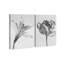 Peeking Flowers Set Set by Oliver Gal-1060062544-1060062562