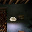 Nut 1 - Light Pendant-1374731456-1374731482-1384670428
