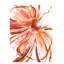 Full Blossom III Painting by Sara Brown-26728583-26728584