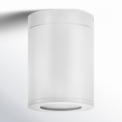 Brissia Cylinder Outdoor Flush Mount