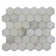 2" CALACATTA ORO HONEYCOMB POL