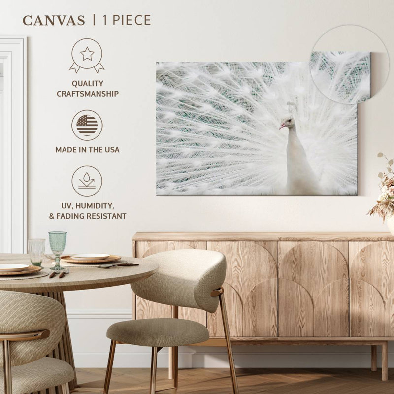 Plume de paon blanche neige, H 34 po x l 51 po